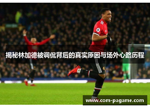 揭秘林加德被调侃背后的真实原因与场外心路历程