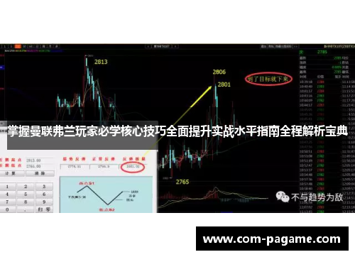 掌握曼联弗兰玩家必学核心技巧全面提升实战水平指南全程解析宝典