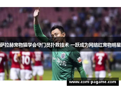 萨拉赫宠物猫学会守门员扑救技术 一跃成为网络红宠物明星