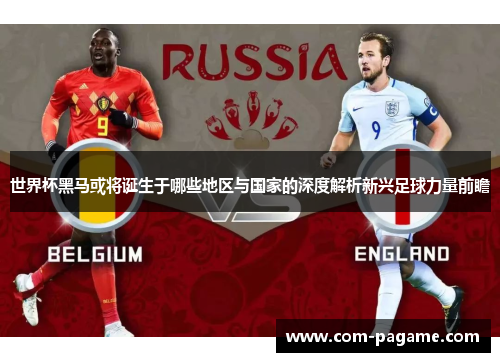 世界杯黑马或将诞生于哪些地区与国家的深度解析新兴足球力量前瞻