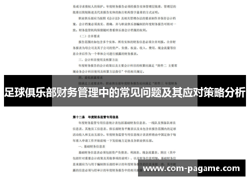 足球俱乐部财务管理中的常见问题及其应对策略分析